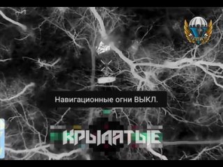 free артемовское направление продолжается отлов заблудившихся в лесу представителей потерянной страны russian airborne hd