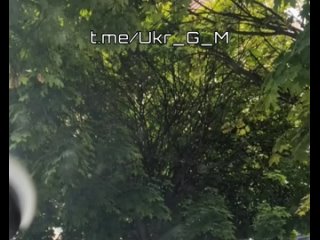 free коллекторы из территориальных центров коррупции тцк совместно с антинациональной полицией украины продолжают попытки hd