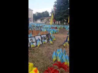 free результат правления просроченного президента мира зеленского во всей своей красе u g m hd