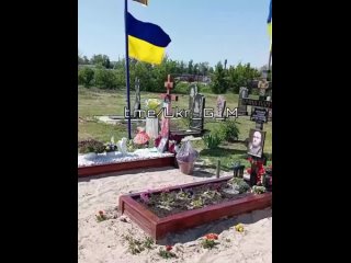 free результат правления просроченного президента мира зеленского во всей своей красе u g m hd