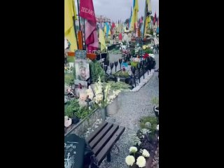 free результат правления просроченного президента мира зеленского во всей своей красе u g m hd