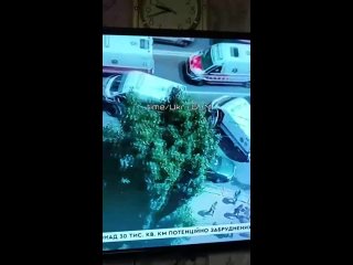 free очередные украинцы которые устали от концлагеря под названием новая зеландия с нелегитимным президентом зеленским hd