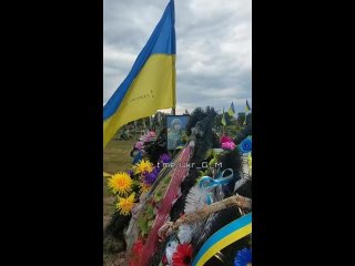 free результат правления просроченного президента мира зеленского во всей своей красе u g m hd