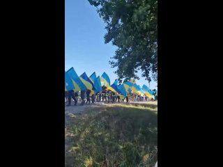 free результат правления просроченного президента мира зеленского во всей своей красе u g m hd