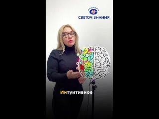 free видео от сеть центров развития светоч знания прав полушарие hd