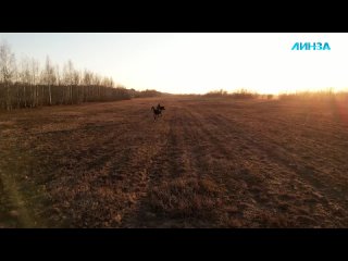 free жизнь с секс куклой психическое отклонение или альтернатива реальным отношениям hd