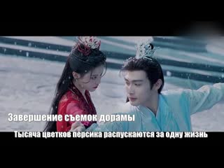 free завершение съемок дорамы тысяча цветков персика распускаются за одну жизнь qian duo tao hua yi shi kai 千朵桃花一世开 hd