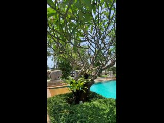 free avalon beach resort 4 таиланд паттайя отель с идеальным расположением в северной части района джомтьен на пляже hd