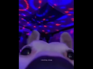 free видео от светлое озеро суши роллы пицца достаа hd