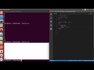 free shell scripting tutorial for beginners 18 until loop hd