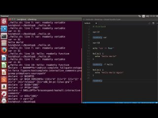 free shell scripting tutorial for beginners 26 readonly command hd