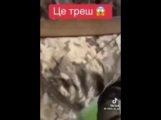 free очередное душераздирающее видео из украины появилось в сети hd