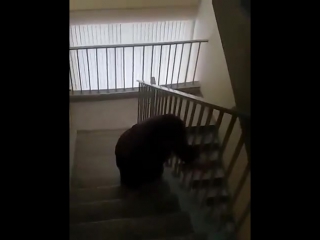 free шокирующее видео в поликлинике прооперированная уфимка ползком добиралась до рентген кабинета копия hd