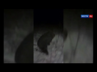 free воронежские охотники за головами отрезали палец закладчику за воровство молодые hd