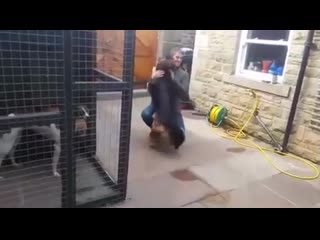 free встреча после разлуки в несколько месяцев hd