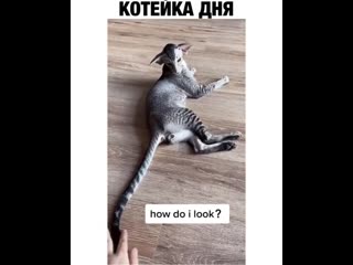 free примерно так же выглядят большинство молодые с 12 до 18 лет hd