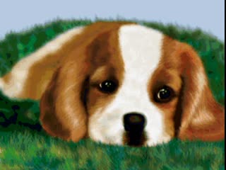 free книжный червь делает с молодой неопытной всякое hd