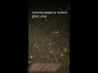 free либо я тебя убью нахй либо раздевайся в лесу заставил раздеться студентка школьница заставил сосать сосет минет hd