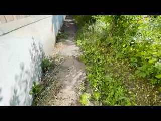 free красивая соседка мечтает о мужчине с настоящим хером уже бегу hd