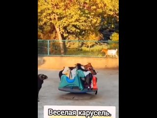 free карусель карусель это радость для нас hd