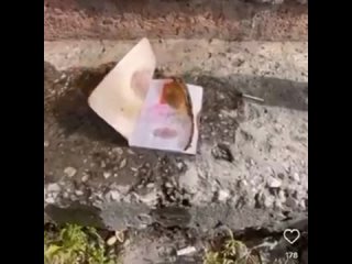 free мать мигранта на коленях извинялась за поступок сына hd