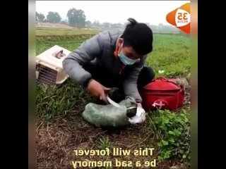 free как можно было такое сделать со своим другом просто звери какие то hd