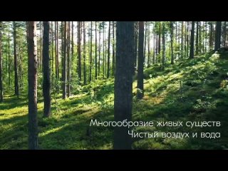 free про эко новое шоу о борьбе с ложнои экологиеи hd