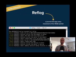 free how to undo mistakes with git using the command line hd