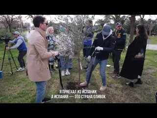 free сейчас у меня прямая связь с россией участники фестиваля молодежи из разных стран посадили деревья в сочинском парке hd