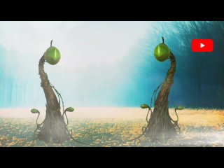free растение мутант видео green screen футаж хромакей анимация цветок монстр на зелёном фоне hd