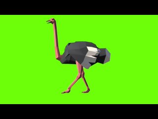 free мультяшный страус видео green screen футаж хромакей анимация на зелёном фоне hd