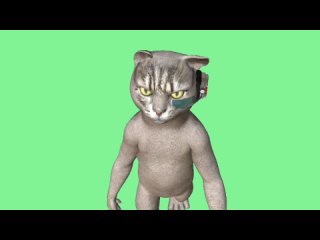 free кот киборг видео green screen футаж хромакей анимация на зелёном фоне hd