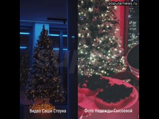 free похоже саша стоун больше не одинок после болезненного расставания с валей карнавал 25 летний блоге hd