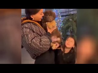 free оксана самойлова известная блогерша и жена рэпера джигана решила порадовать свою маму особым подар hd