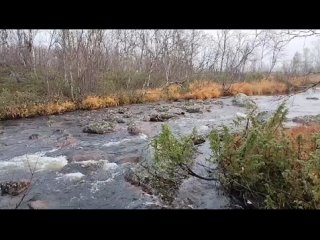 free велес покоритель северных рек ручьёв и озёр hd