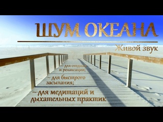 free шум океана целый час живого звука прибоя для медитации релаксации подготои ко сну hd