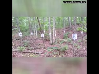 free в лесу были найдены объявления о пропавших без вести все они были развешаны на деревьях их было о hd