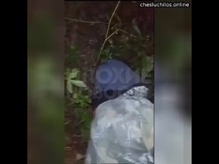 free в брянской области банда молодые отморозков избила спящего на обочине мужчину страшный видеороли hd