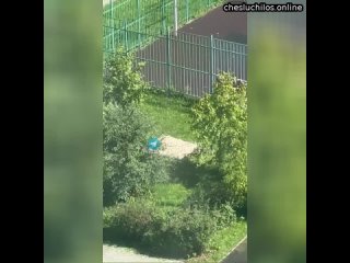 free в подмосковье на молодые площадке мигранты сушат овечьи шкуры местные жители были потрясены уведен hd