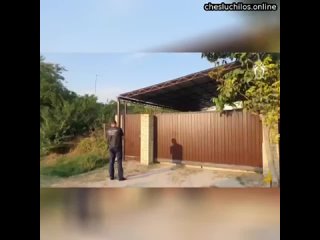 free в краснодарском крае мать закладчица вонзила нож в грудь 3 месячного малыша а затем попыталась свес hd