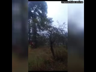 free в люберцах двое молодые детей погибли в пожаре во время задымления их мать ушла к соседке в п hd