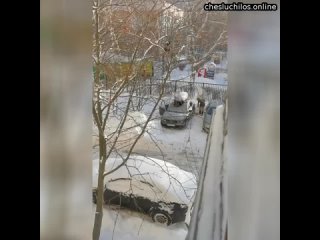 free в москве женщина избила собачку на глазах у детей 35 летняя жительница прямо на глазах у своего сын hd