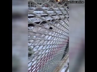 free трагедия в подмосковье женщина решила перебежать железнодорожные пути и лишилась головы очевидцы в hd
