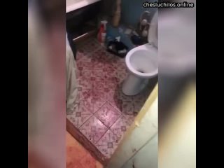 free звериное ебашилово на вписке в подмосковье сначала зумеры культурно отдыхали стараясь держаться д hd