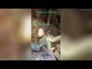 free опубликовано ещё одно видео задержания одного из террористов он прятался от спецназа на дереве hd