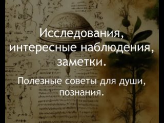 free личный дневник капитолины исследования интересные наблюдения заметки полезные советы для души познания hd