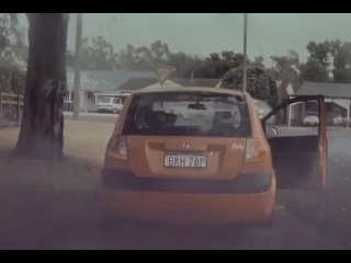 free забытый в доме кошелёк спас жизнь австралийцу мужчина вернулся чтобы забрать кошелёк а в этом время дерево hd