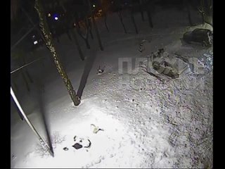 free в тульской области женщина чудом не погибла под лавиной снега которая обрушилась с крыши дома жительница в последний hd