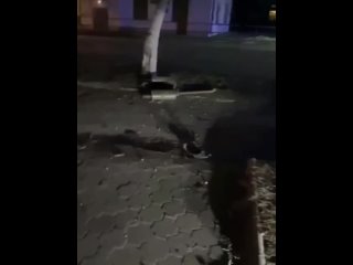 free авто разорвало на части водитель без прав погиб при дтп в дальнегорске уточняется что 22 летний водитель honda hd