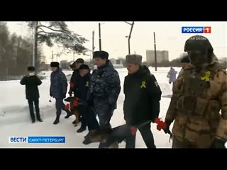 free в петербурге служебные молодые росгвардии почтили память предшественников hd